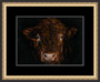 Medium  framed  Sussex bull painting by Kay Johns