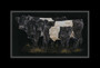 Team BG Mounted-only