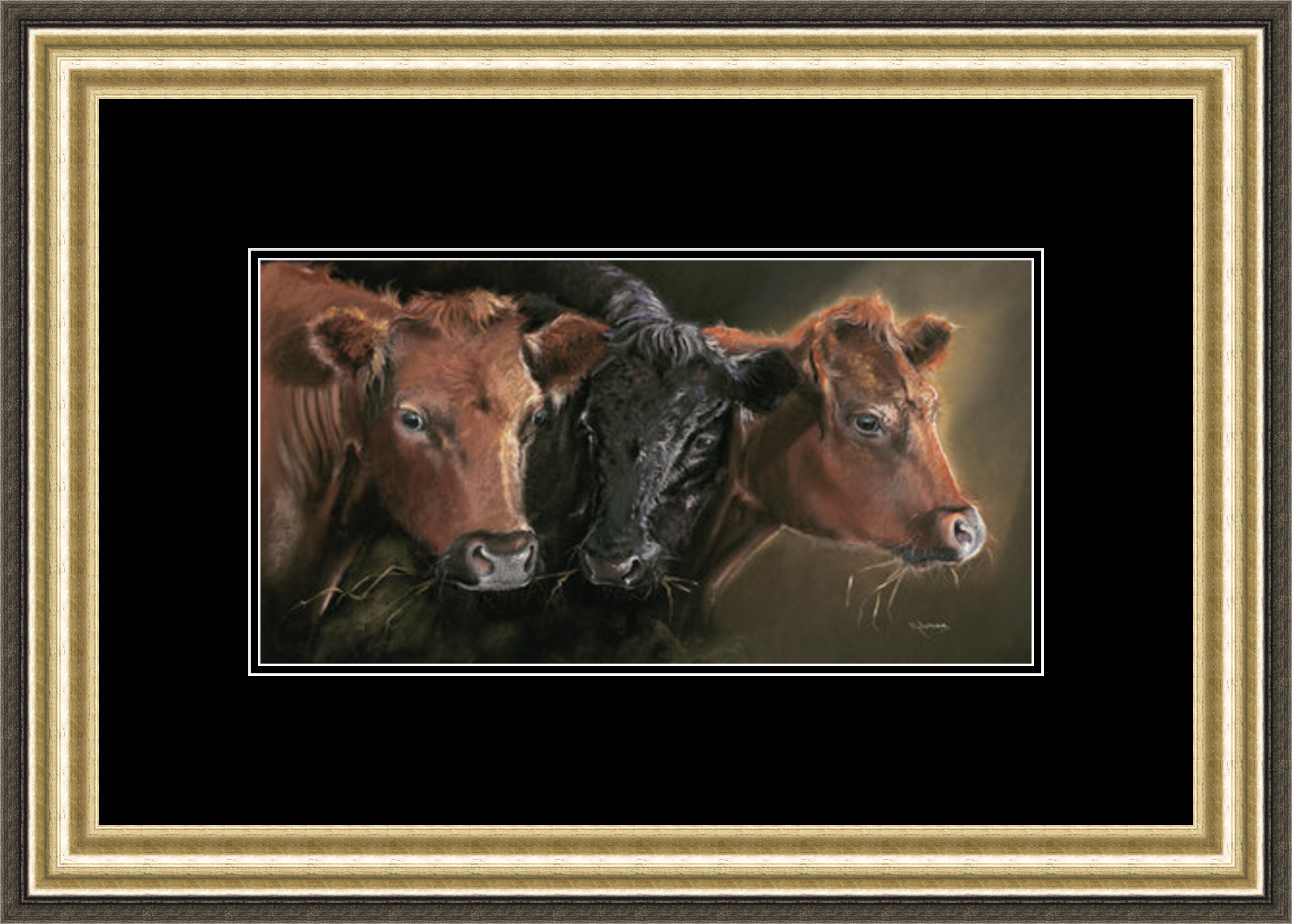 Highland Cow Art - Angus McCoo Canvas
