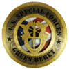 Green Beret Plaque with American Flag