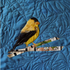 Gold Finch Collage Kit