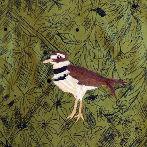 Killdeer Collage Kit