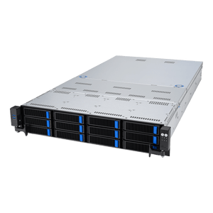 12-Bay INTEL XEON 12-Cores GPU Server