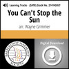 You Can't Stop the Sun (SATB) (arr. Grimmer) - Digital Learning Tracks for 214142