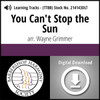 You Can't Stop the Sun (TTBB) (arr. Grimmer) - Digital Learning Tracks for 214140