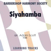 Siyahamba (TTBB) (arr. Scott) - Digital Learning Tracks for 208741