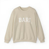 BARI Crewneck Sweatshirt- Multiple Colors