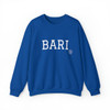 BARI Crewneck Sweatshirt- Multiple Colors