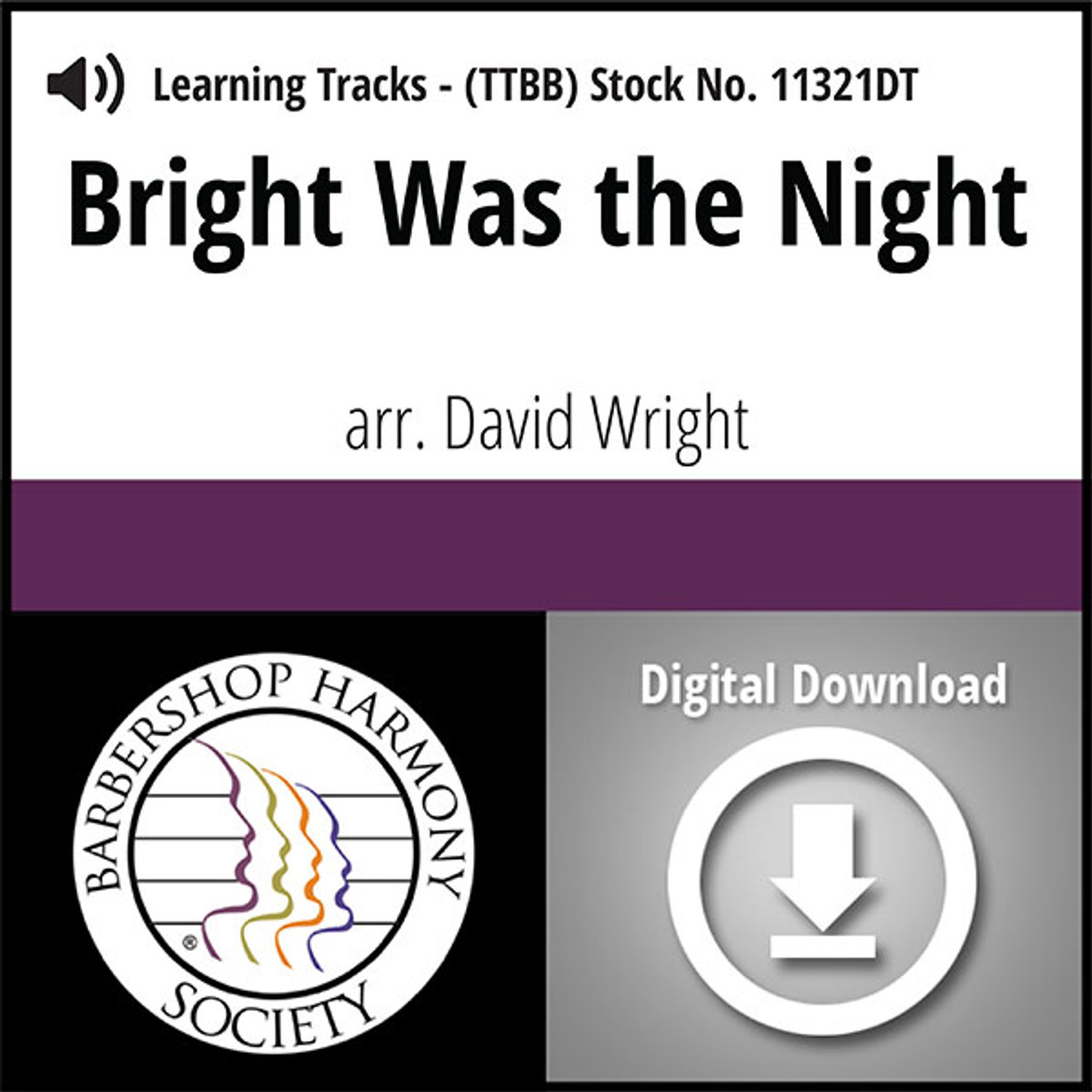 Bright Was the Night (TTBB) (arr. Wright) - Digital Learning Tracks - for 8820