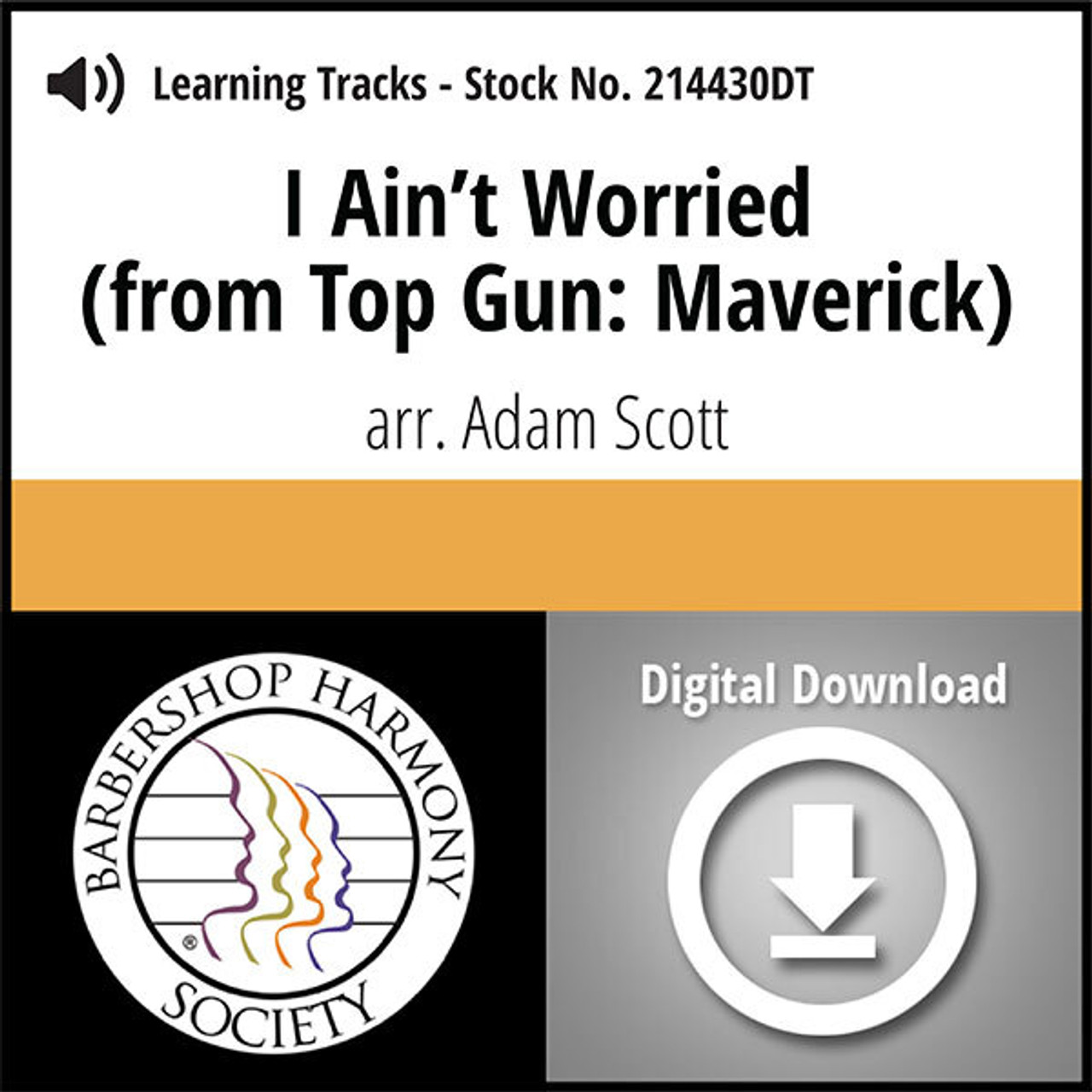 I Ain't Worried (from TOP GUN MAVERICK) (SATB) (arr. Scott) - Digital Learning Tracks for 214429