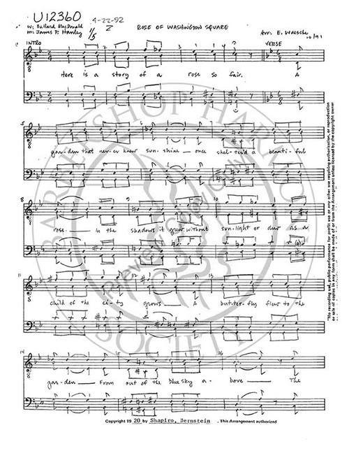 Rose Of Washington Square 1 (TTBB) (arr. Ed Waesche)-UNPUB