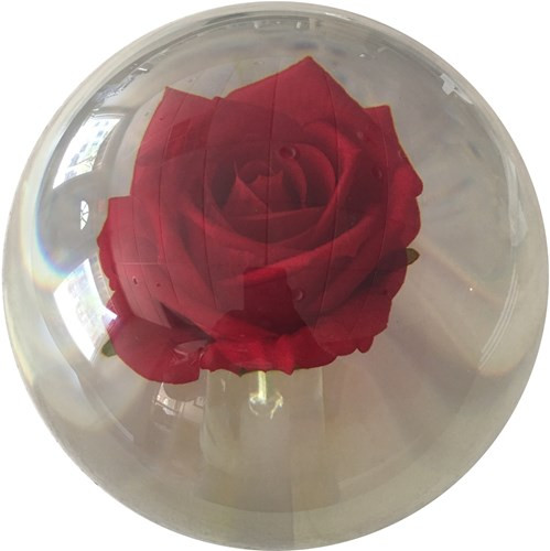 KR Strikeforce Clear Red Rose Ball - IN STOCK - JB Bowling Supply