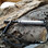The  cap on the rod can be reversed and screwed back into the tube to provide you...