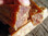 Scrape a pile of fatwood shavings from your slab of fatwood and use this start fires even when your wood is damp or wet