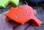 Side view of the Storm Whistle - in an emergency, such as being lost in the wilderness, you can blow a whistle all day so that searchers can find you.
