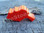 A side view of the Storm Whistle.  Searchers can blow a whistle so that a lost person knows they are being looked for.