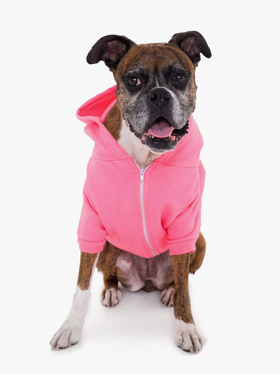 American apparel dog clothes Clearance