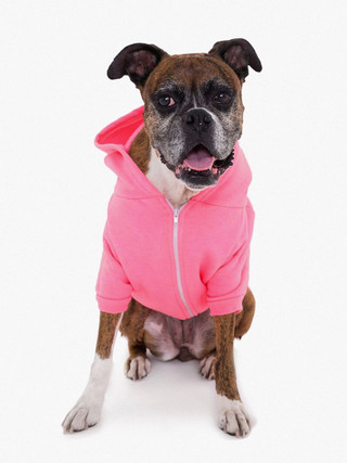 american apparel dog hoodie