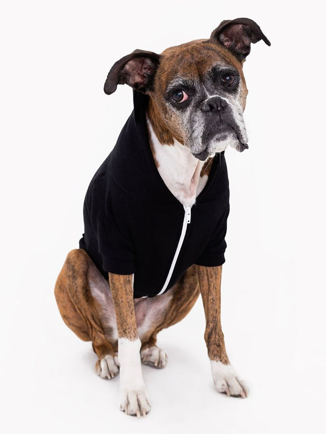 American apparel dog shirt Clearance