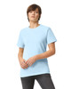 1301 | Heavyweight Cotton Unisex T-Shirt