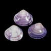 Purple Clam  (Macta Violacea) 3-4" pack of 5