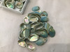 Blue Abalone. 50 shells 0.75"