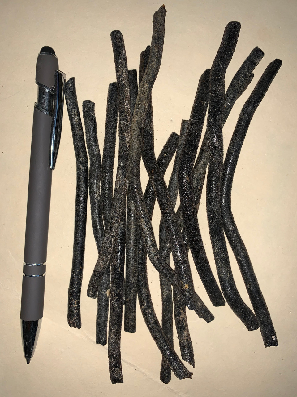 Black coral sticks