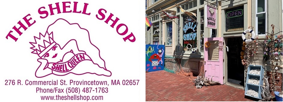 Cape Cod Life Gifts-Shell Shop-Provincetown