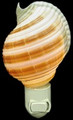 Tonna Shell Night Light