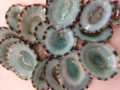 Green Limpets