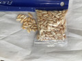 300 pcs Hawaii Rice Shells