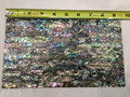 Abalone Sheet