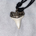 Modern Great White Tooth Sterling Silver Cap (2)