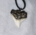 Modern Great White Tooth Sterling Silver Cap (4)