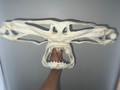 Great Hammerhead Skull 20"