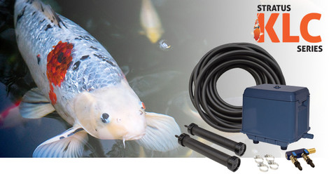 New Stratus Koi Loving Care (KLC) Compressors Combine Outstanding Performance With Great Value!