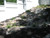 EasyPro Just-A-Falls Kit w/ Waterfall Diffuser - 24 ft. Stream