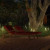 Bamboo Lights |  Three pack, 24", 36", 44" with Transformer Bamboo Lights |  Three pack, 24", 36", 44" with Transformer