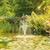 Aquarius Eco Premium