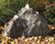 Blue Thumb Triple Cascade Complete Fountain Kit by Blue Thumb