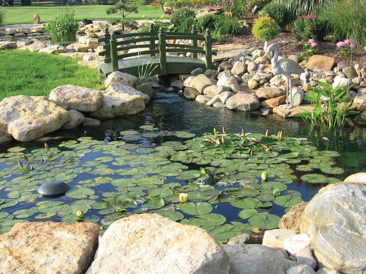 Premium Photo  A dark garden with a pond and a pond with a lily pad.