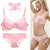 2021 New Embroidery Women Bra Sets Lace Push Up Underwear Brief 34/75 36/80 38/85 40/90 42/95 44/100 BCDE Cup Plus Size Lingerie