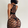 Mesh Sheer Bodysuit