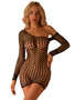 Sheer Lace Bodystocking