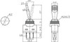 BLUE Illuminated Automotive Switch On/Off SPST 3P 20A/12VDC CES-66-2012