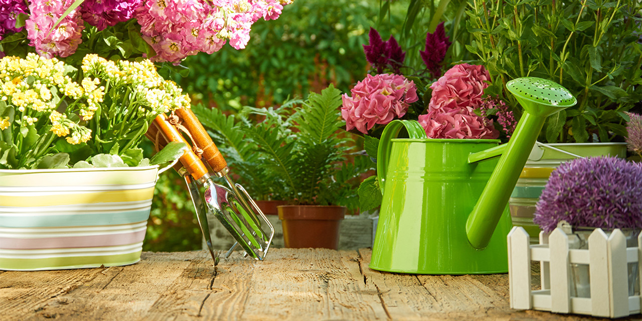 Shop Garden Essentials: Gardenised - match every style and budget.