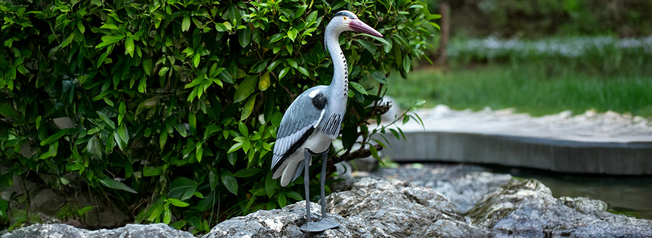 Outdoor Decor