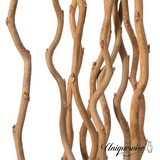 Gold Floor Vase with Natural Mulberry Branches – 31.5" Spun Bamboo Vase & 47" Decorative Branches Set – Elegant Modern Home Décor for Living Room, Entryway, or Wedding Centerpieces Gold Floor Vase with Natural Mulberry Branches – 31.5" Spun Bamboo Vase & 47" Decorative Branches Set – Elegant Modern Home Décor for Living Room, Entryway, or Wedding Centerpieces