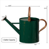 Gardenised 1 Gallon Galvanized Metal Watering Can with Removable Long Spout & Sprinkler Head for Indoor & Outdoor Use Ideal for Garden Flowers Potted Plants Houseplants Modern Home Accessories