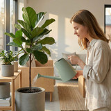 Gardenised Modern Plastic Watering Can with Detachable Long Narrow Spout and Sprinkler Head for Indoor Plants, Designed for Controlled Pouring and Easy Handling, 1.8 liter Capacity